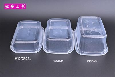 PP transparent fruit salad container