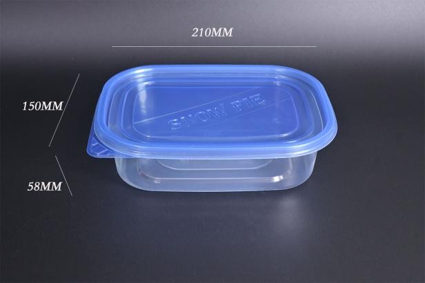 PP transparent fruit salad container