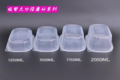 PP transparent fruit salad container
