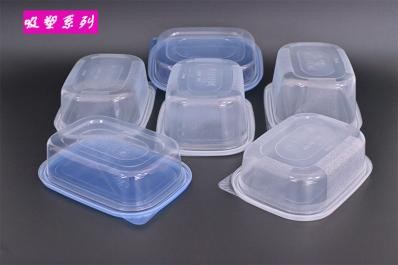 PP transparent fruit salad container
